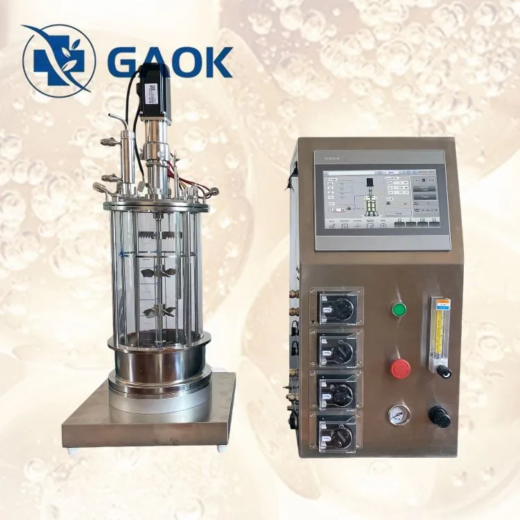 תסיסה בקנה מידה מעבדתי