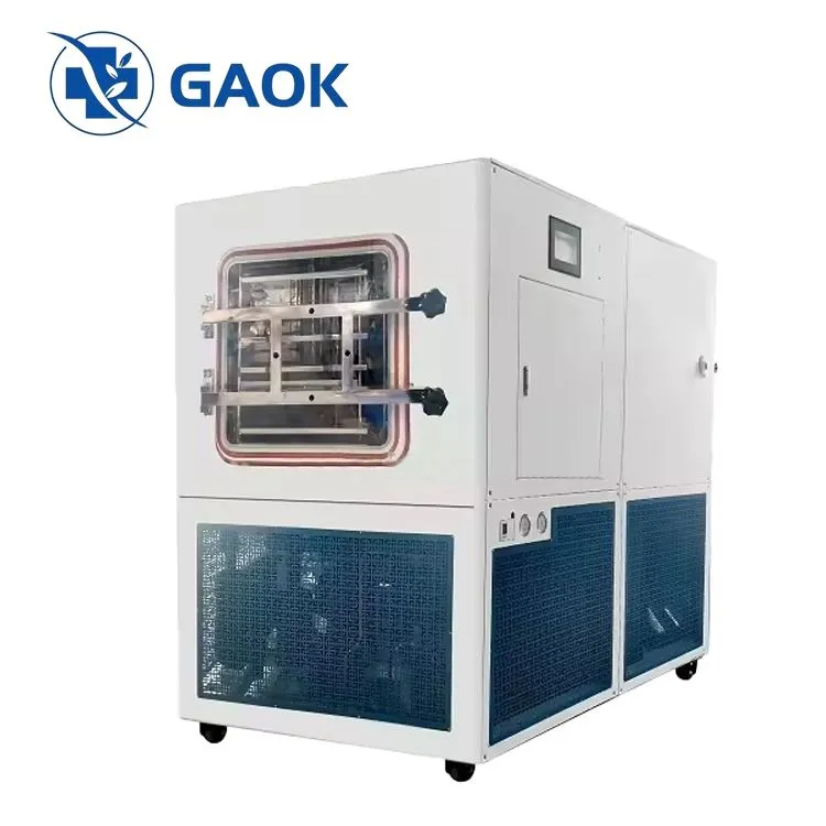 MINI הקפיא מכונה יבשה